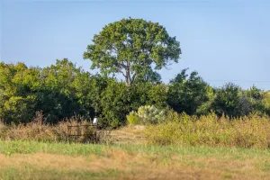 Alvarado, TX 76009