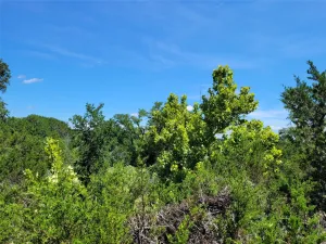 Lampasas, TX 76550