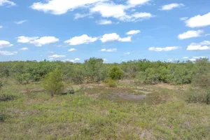 Terrell, TX 75160