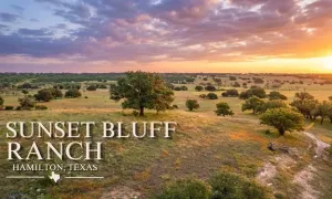 Hamilton, TX 76531