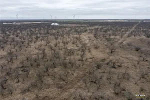 Clyde, TX 79510