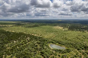 Santa Anna, TX 76878