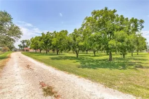 Stephenville, TX 76401