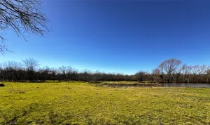 Gunter, TX 75058