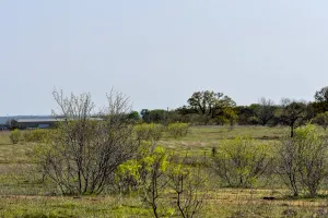Decatur, TX 76234