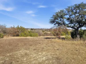 Evant, TX 76525