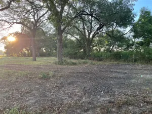Mexia, TX 76667