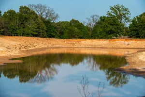 Athens, TX 75751