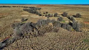 Petrolia, TX 76377
