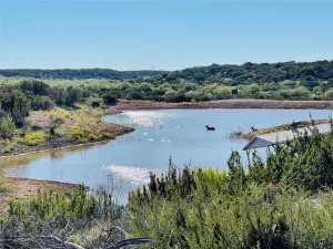 Bronte, TX 76933