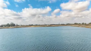 Greenville, TX 75401