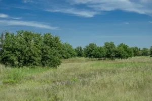 Henrietta, TX 76230