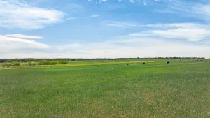 Granbury, TX 76049