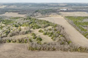 Anna, TX 75409