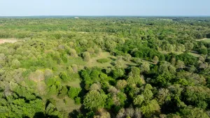 Athens, TX 75751