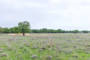 Ovalo, TX 79541