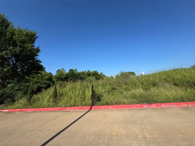 Palestine, TX 75801