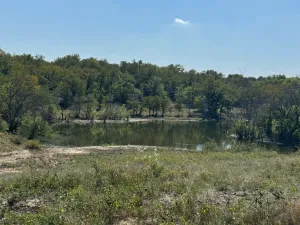 Sanger, TX 76266