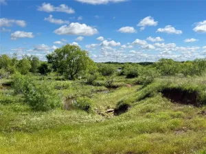 Bellevue, TX 76228