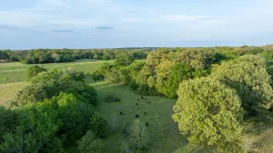 Athens, TX 75751