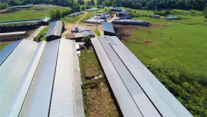 Winnsboro, TX 75494