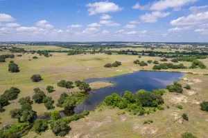 Hamilton, TX 76531