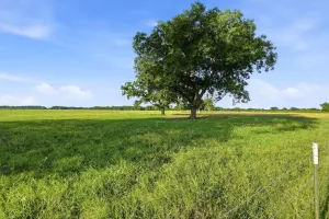 Denison, TX 75021
