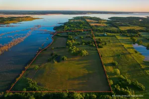 Dodd City, TX 75438
