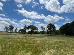 Sulphur Springs, TX 75482