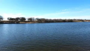 Gorman, TX 76454