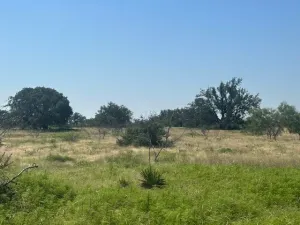Sonora, TX 76950