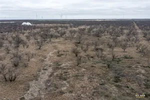 Clyde, TX 79510