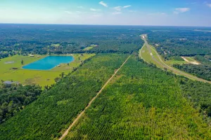 Cleveland, TX 77327