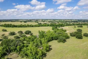 Hamilton, TX 76531