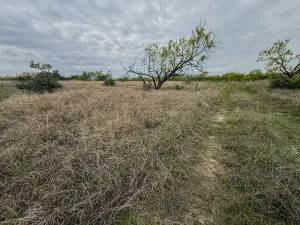 Voss, TX 76888