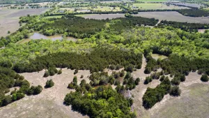 Blue Ridge, TX 75424