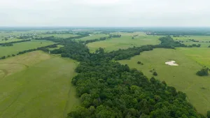 Whitesboro, TX 76273