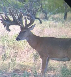 Rockdale, TX 76567