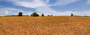Marlin, TX 76661