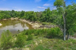 Carthage, TX 75633