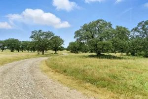 Jacksboro, TX 76458
