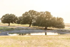 Mullin, TX 76864