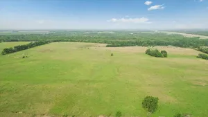 Honey Grove, TX 75446