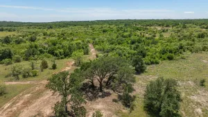 Stephenville, TX 76401