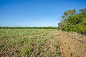 Denton, TX 76249
