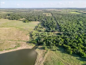 Carbon, TX 76435