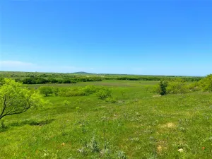 Bowie, TX 76230