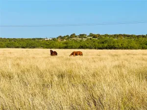 Bronte, TX 76933