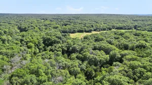 Whitesboro, TX 76273