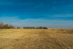 Coupland, TX 78615